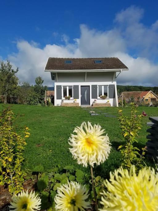 Gite Le Charmot, Au Pied Des Montagnes Classe 3* Roderen Exterior photo