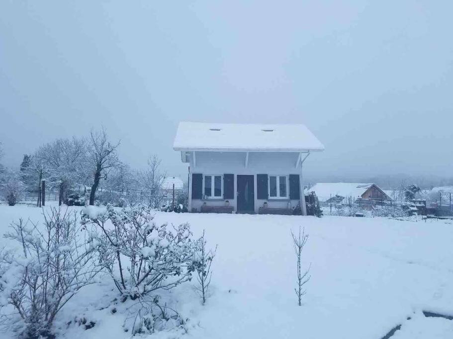 Gite Le Charmot, Au Pied Des Montagnes Classe 3* Roderen Exterior photo
